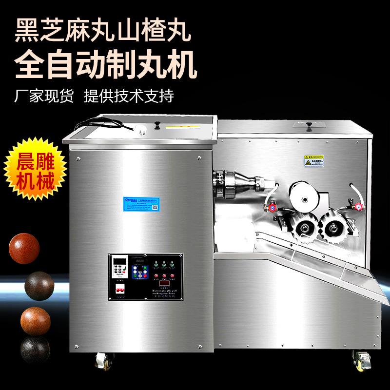 全自动中药制丸机 黑芝麻丸鹿鞭丸大蜜丸机 制丸整套设备生产厂家