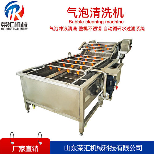 厂家供应麻黄清洗机设备 全自动 蔬菜水果桃子气泡式清洗机
