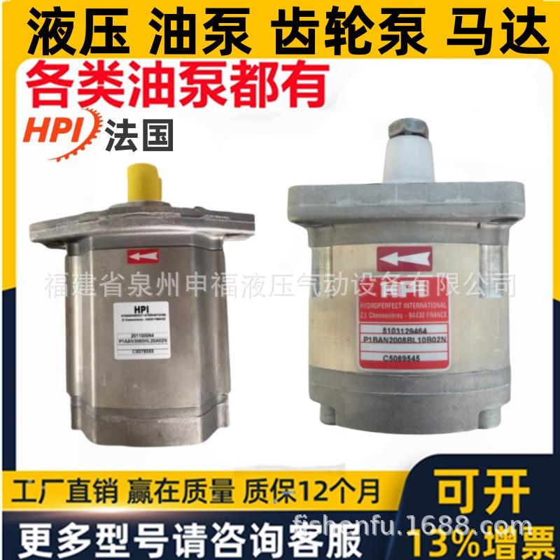法国HPI油泵齿轮泵P2CAN2010 P2DBN2006 P2DCK2012液压马达动力