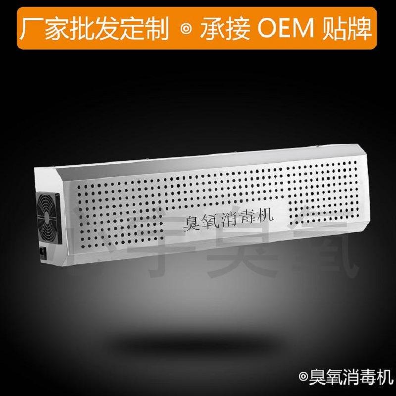 30g壁挂式臭氧发生器 可悬挂空气净化器除臭 臭氧消毒机厂家