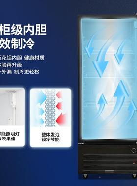 箱(SILING)展示柜冷藏柜立式ECX保鲜柜商用冰饮料冷U柜超市冰