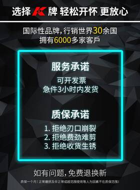 牌手钳子大尖嘴斜口钳电工多功TUZ工能全用业万级钢丝钳老虎钳