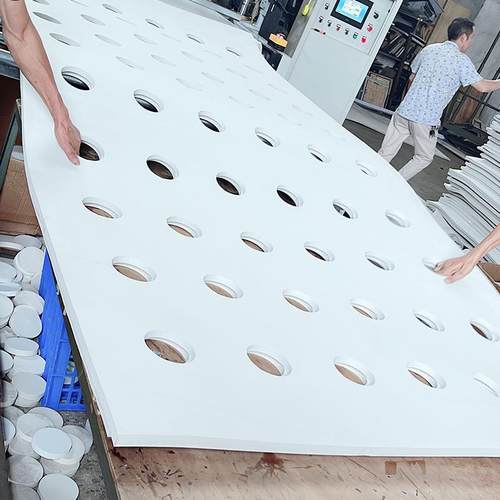 水上种植厂漂浮板家0006带水eva培泡沫板水稻蔬菜无土孔栽培