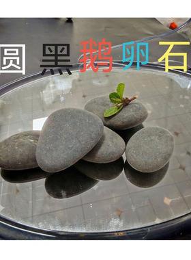 小石头坛蓝色庭院防滑铺路石色雨花石鹅白玉EFF卵石花白水景造景