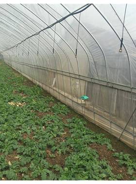 养殖种连栋大棚大全套管配件45751温室大棚骨架椭圆钢管棚花卉植