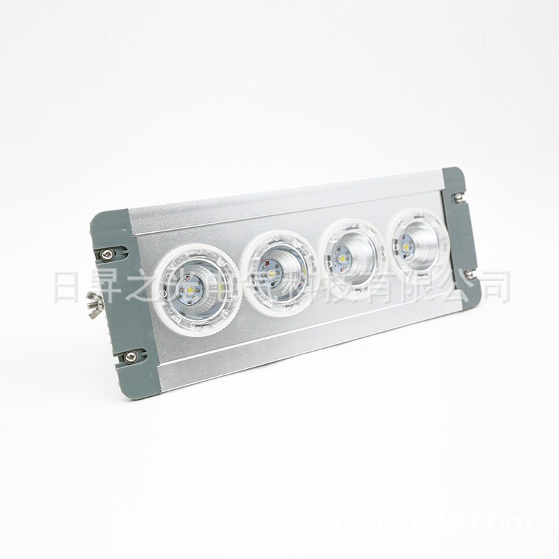 NFC9121-220V LED低顶灯 用于轨道车、机车、火车车厢、地铁车厢