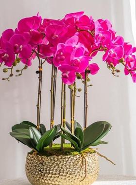 端高手感保湿仿真蝴D-23562兰花艺假花卉盆蝶栽塑料插花装室内客