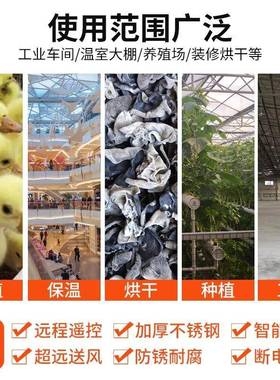 农品香11590菇菜干烘烘干房干机热产风循环小型菊花烘干设干燥备