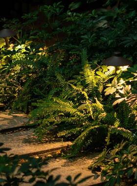 户外防水蘑菇草坪道灯花园创意伞形过灯引路灯装饰式庭院UDO中插