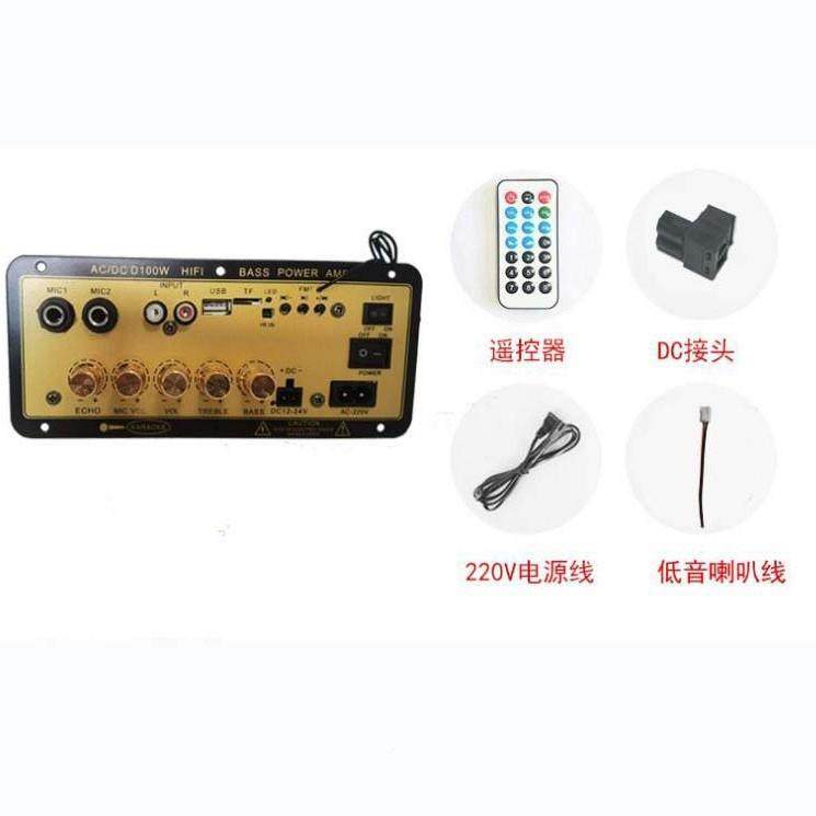10金色D0W功放主板数字卡三用车载带混响插可接麦克MIC功放板COC1