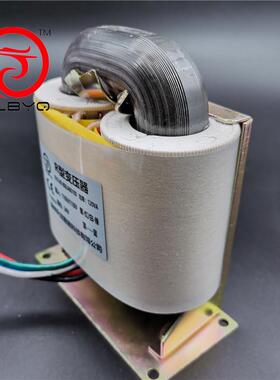 升龙6厂工R100型变压器130W220V380V转V92V1YTE2V15V18V4V36V