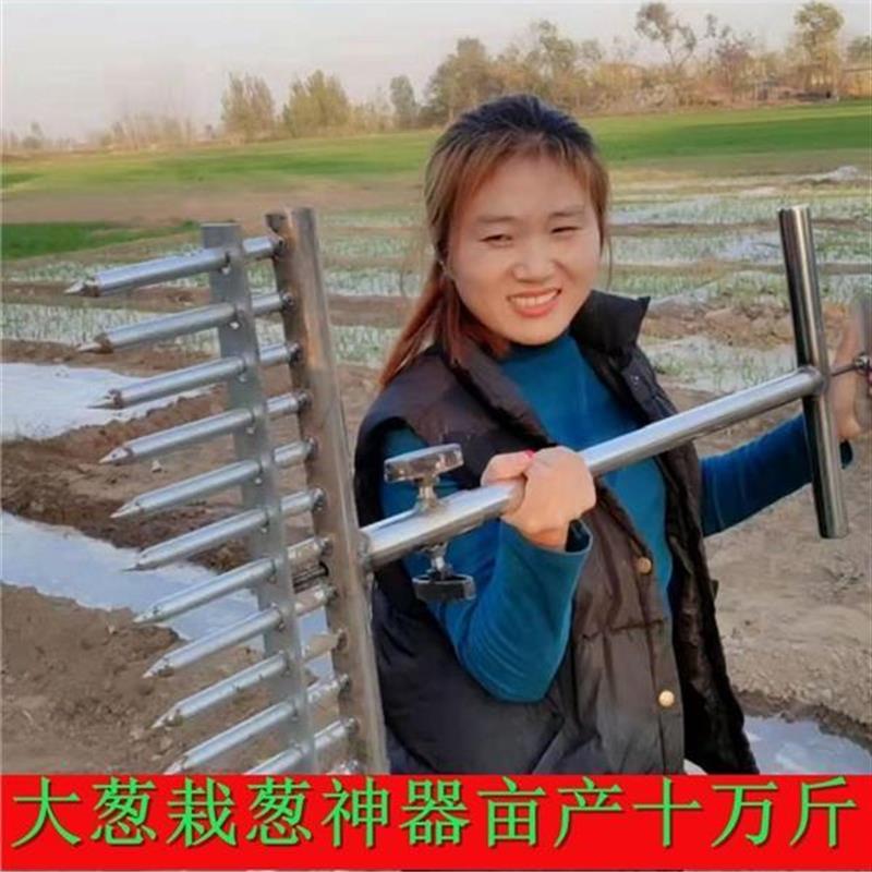 种葱神器栽葱机器栽苗器大葱叉子自动打孔工具洋葱种菜移栽移苗器