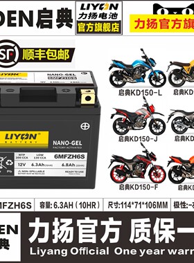 启典摩托车KD150-F-H-J-G-K-E-V-L-Z-U-G1启典250-V-Z电瓶蓄电池