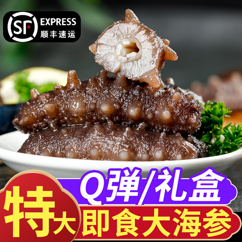 新鲜即食海参礼盒装年货鲜冻冷冻天然大连野生辽参高档海鲜500g