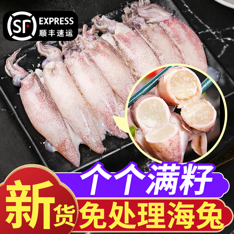 小管鱿鱼带籽！高品质！高评分！