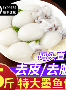 新鲜海捕捞冷冻墨鱼仔烧烤火锅食材速冻特大个商用批发乌贼小鱿鱼