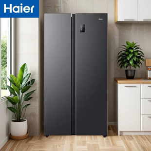 Haier/海尔 BCD-538WGHSSEDB9对开门厨装一体DEO净味538L无霜冰箱