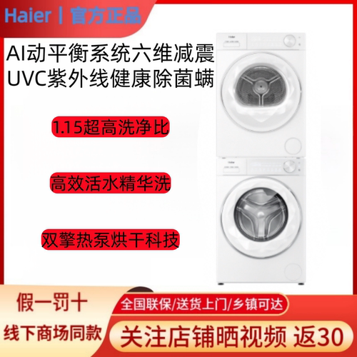 Haier/海尔 XQG100-LEU58A2WU1+GA100-S58A2WU1智投变频洗烘套装