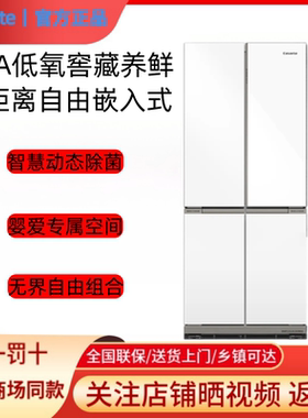 卡萨帝冰箱BCD-501WGCTDM4GDU1超薄BCD-501WGCTDM4WKU1平嵌501升