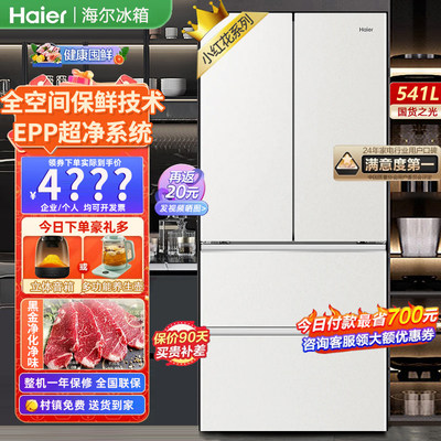 Haier/海尔BCD-541WGHFDC9GPU1