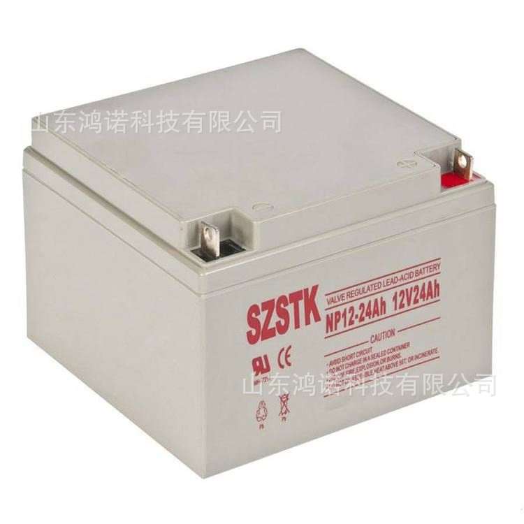 SZSTK蓄电池NP12-33Ah 12V33AH光伏发电 直流屏 配电柜