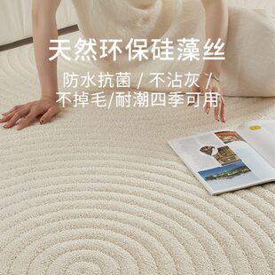 卧室污感可擦轻奢高级纯色风 防水防真地毯客厅奶油沙发毯免洗法式