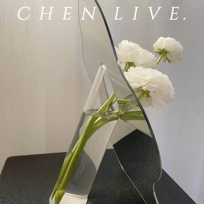 镜花瓶面水养高级ins风轻奢摆件客厅插花装饰品亚克力透明感试管