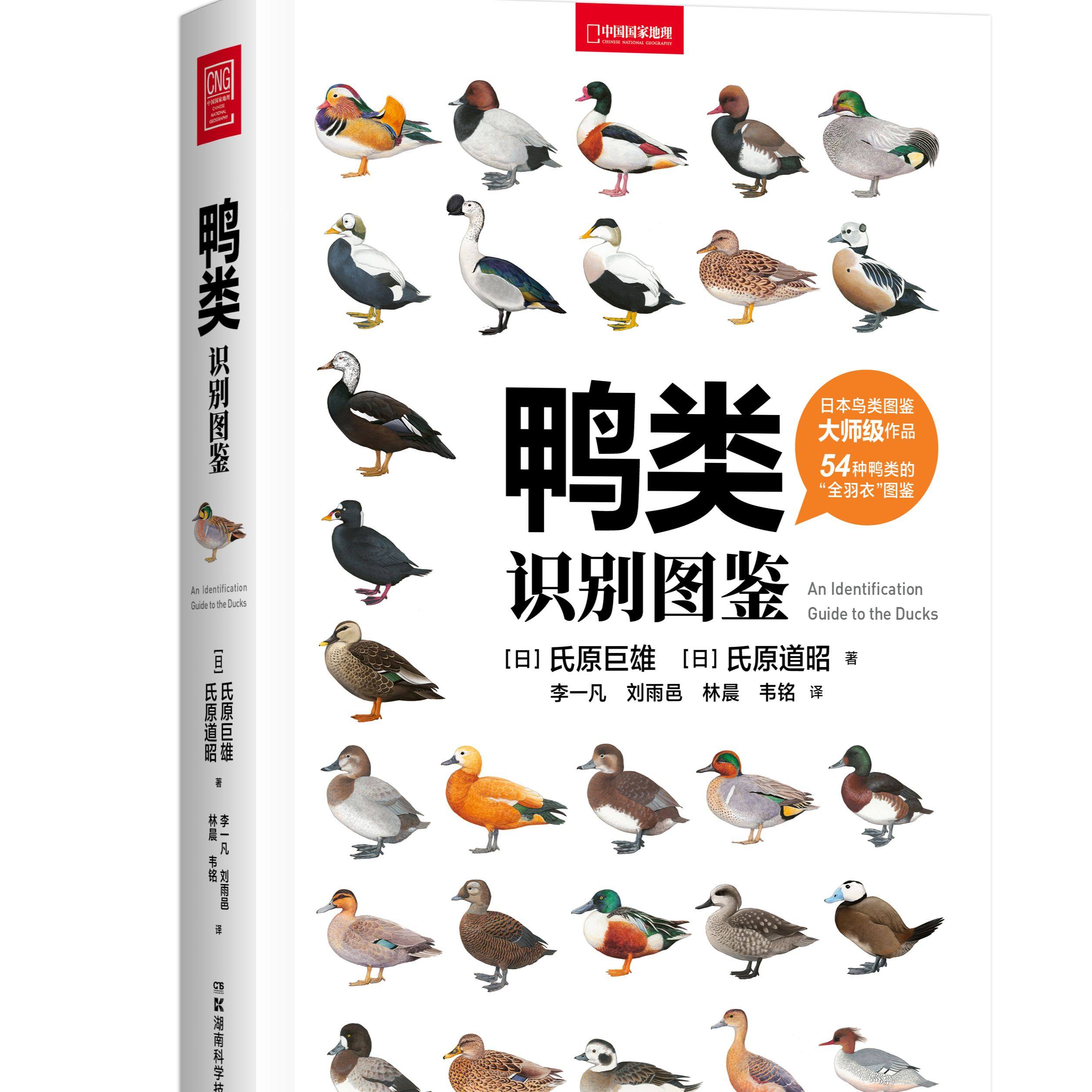 鸭类识别图鉴：54种鸭类的“全羽衣”图鉴，1500余幅手绘&照片，科学的鸟种认知，实用的设计编排，一书助你从容观鸭！,书籍/杂志/报纸,鸟类,淘宝优惠券,粉丝福利购,淘宝优惠卷