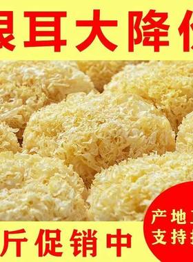 【净重发货】古田出胶银耳干货无硫糯大花银耳白木耳雪耳甜糯