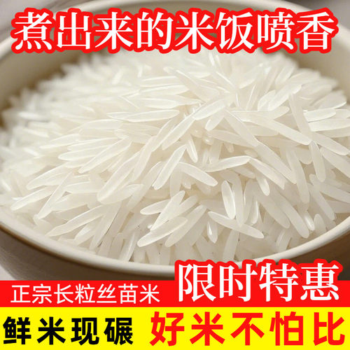 农家新米长粒香产地直供猫牙米当季现磨象牙米煮饭清香不沾连大米