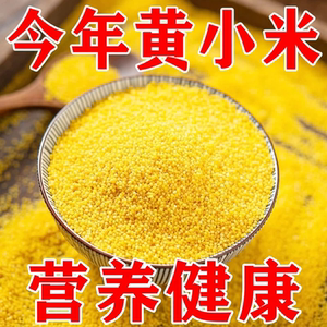 山西黄小米新米500g农家自产脂米小米粥小黄米五谷杂粮优质软糯