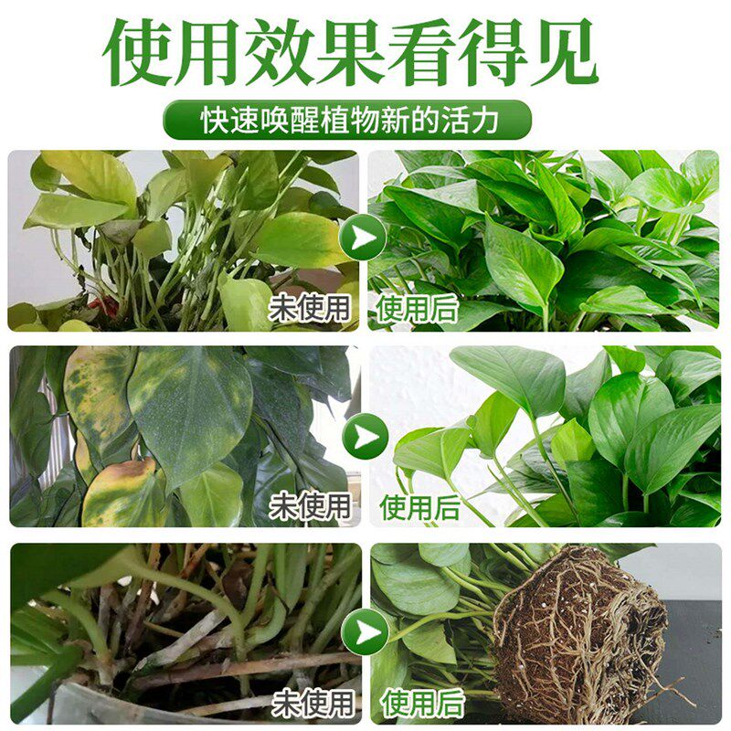 速发绿萝营养液免稀释绿箩专用肥叶子发黄绿萝肥料植物绿箩营业液