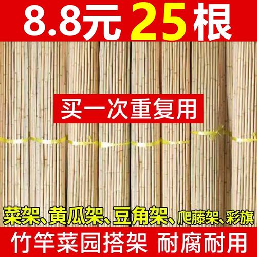 速发竹竿菜园搭架爬黄杆四季豆角架杆子菜架竹篱笆栅栏围栏子瓜竹