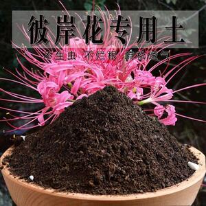 速发彼岸花种彼岸花营养土养花土花土通用种植有土机土壤肥料