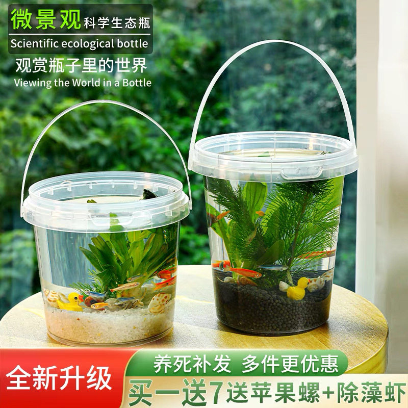 速发手提生鱼瓶景料塑料免打理自循环微材观小态塑料观赏鱼虾蟹真