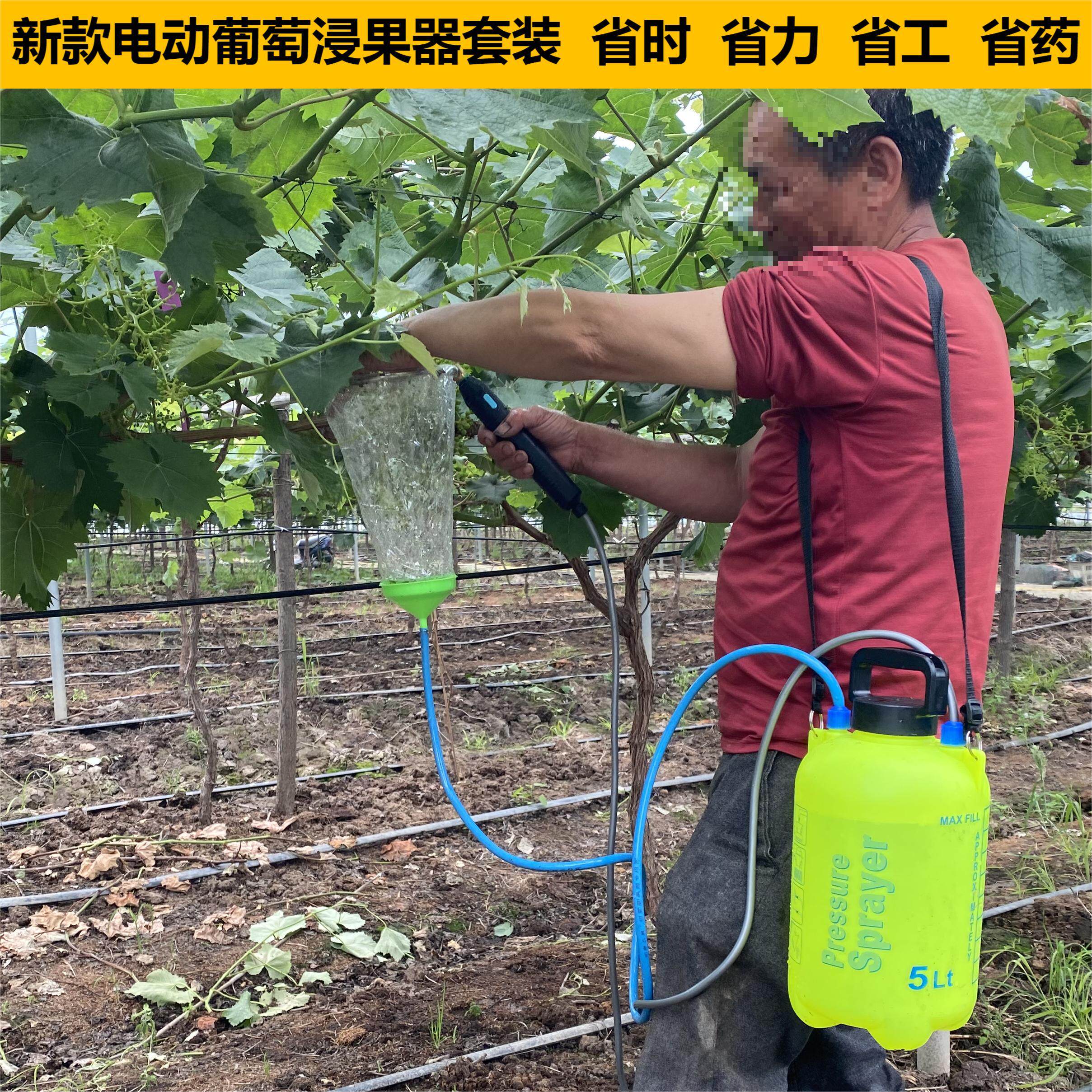 速发新品5电动喷壶葡萄膨果器套袋细雾化喷头药水药液回流催红浸
