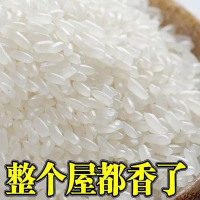 粒米东北斤新DB长年20米斤花香五常稻米10稻香官方大米21