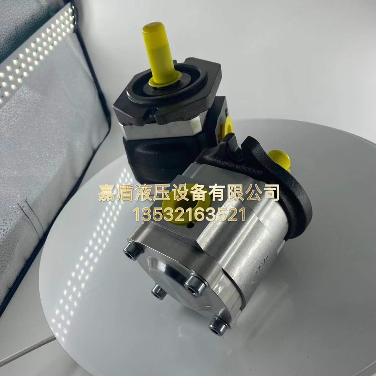 艾可勒/艾可乐齿轮泵ECKERLE/EIPS2-025RA04-12S11注塑机德国油泵