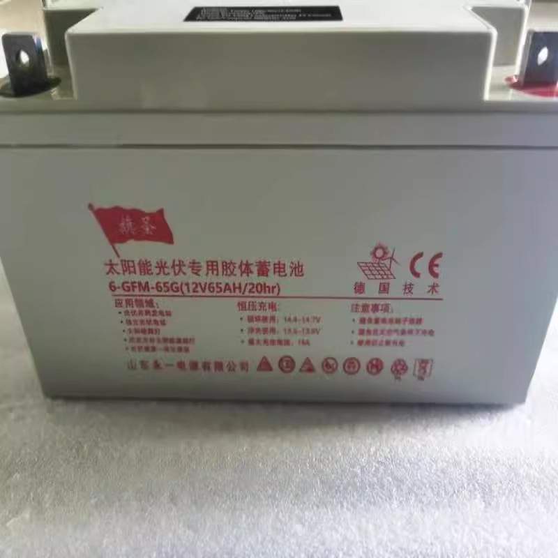 旗圣12V65AH蓄电池 6-GFM-65太阳能通讯基站直流屏UPS电源EPS应急