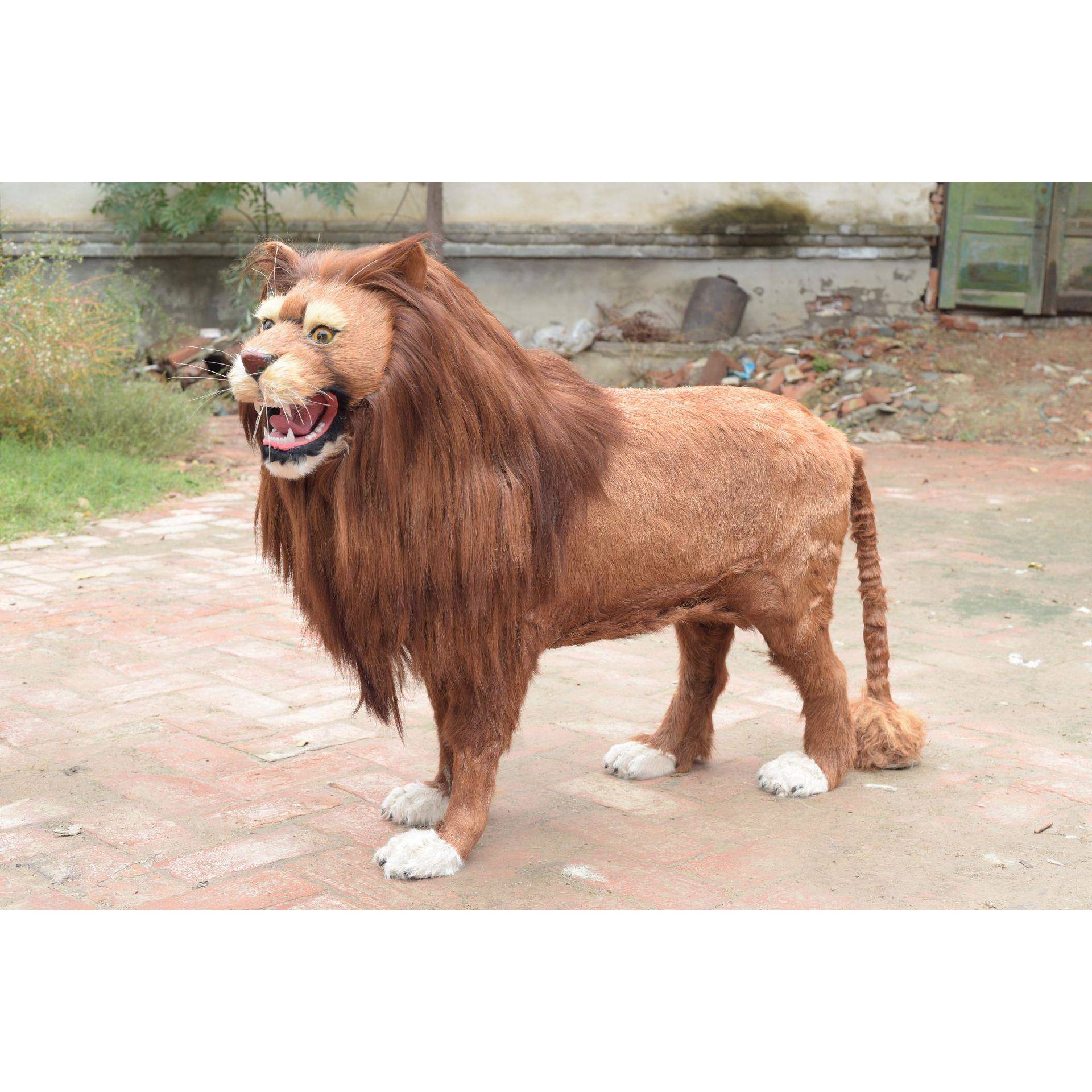 仿真狮子模型亚洲狮子摆件辛巴毛绒玩偶具橱窗展示品展览教学道具