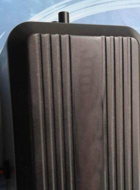 ZYA1090-微型充气泵