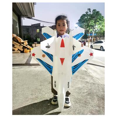 F22V2猛禽64mm涵道EPO航模遥控飞机成人战斗机超大固定翼