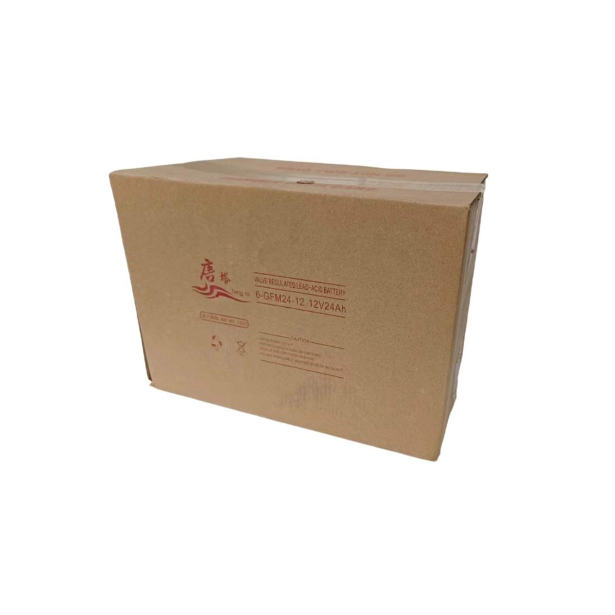 唐塔免维护铅酸蓄电池 6-GFM24-12 12V24AH EPS/UPS直流屏电源用