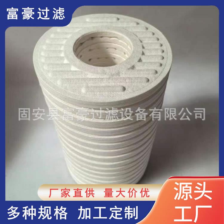 CJC精细滤油机滤芯PA5601355BG15/12西西延森滤清器分离器