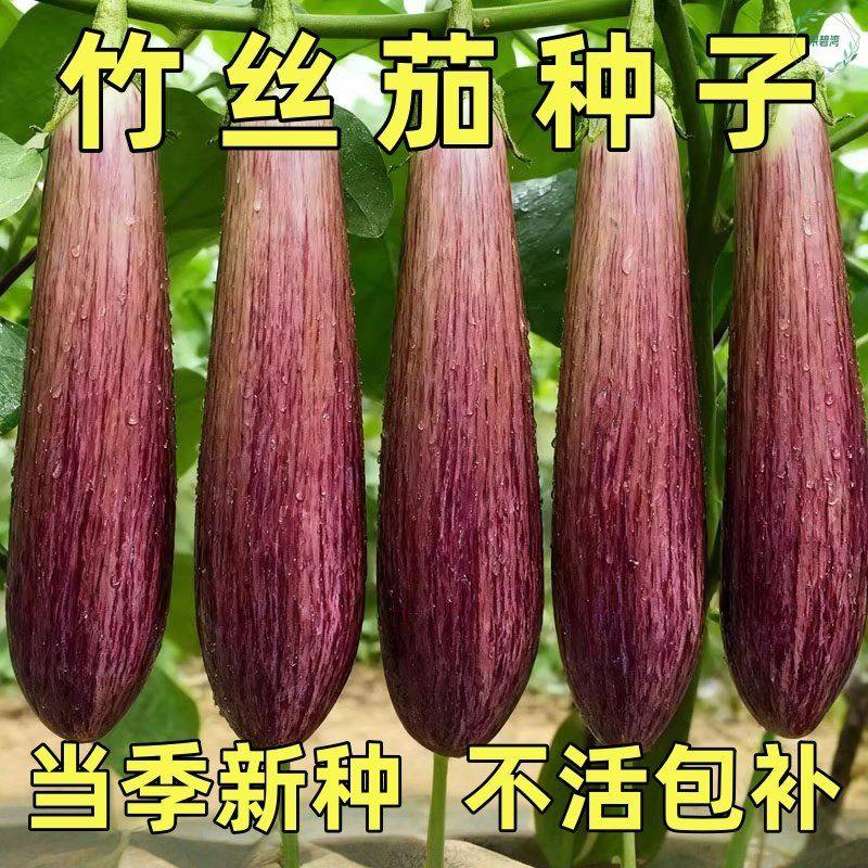 泰国冰川竹丝长茄种子孑盆栽肉质细嫩精品花茄蔬菜种籽春季茄子孑,鲜花速递/花卉仿真/绿植园艺,家庭园艺种子,淘宝优惠券,粉丝福利购,淘宝优惠卷