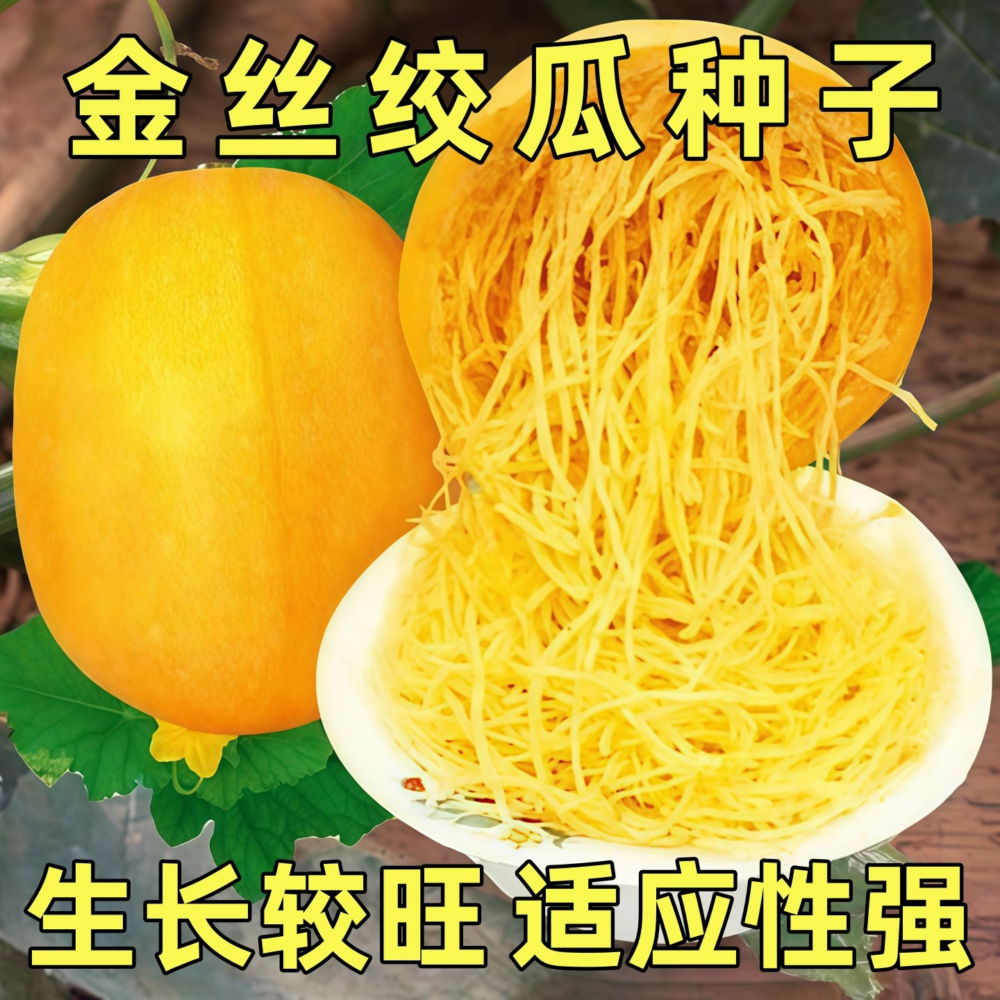 金丝绞瓜种子搅瓜种籽正宗四季蔬菜田园庭院种植天然食用粉丝薄皮,鲜花速递/花卉仿真/绿植园艺,种苗/半成品盆栽,淘宝优惠券,粉丝福利购,淘宝优惠卷