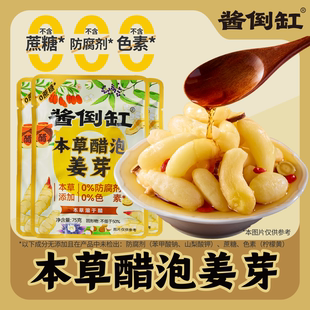【酱倒缸】山东淄博本草醋泡姜芽新鲜嫩姜泡菜脆爽生姜即食醋泡姜