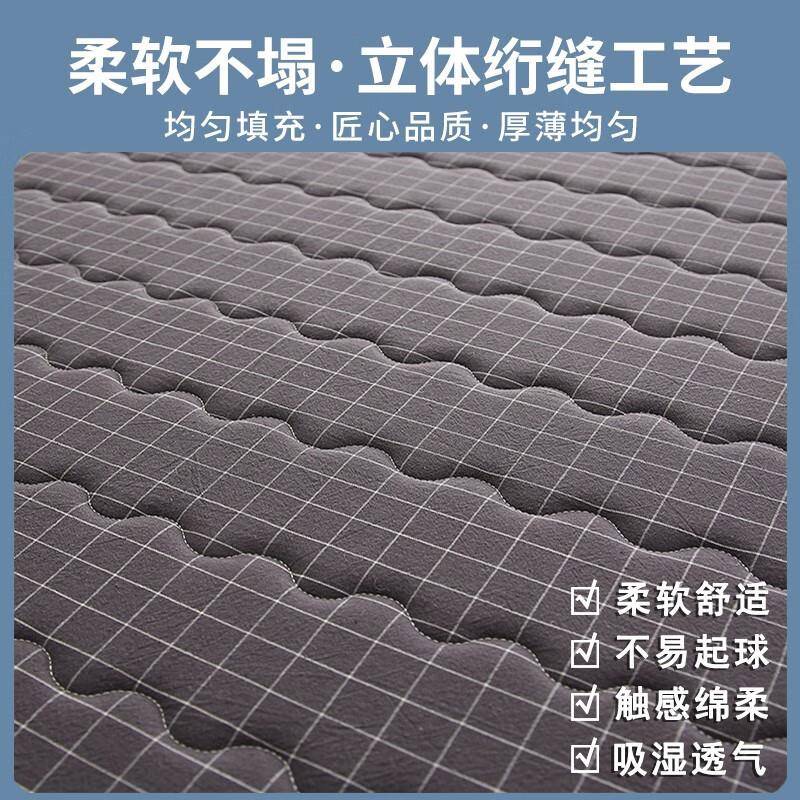 打生单人14589宿床垫多功能冰藤席学针舍织新棉垫子双面四季两用2