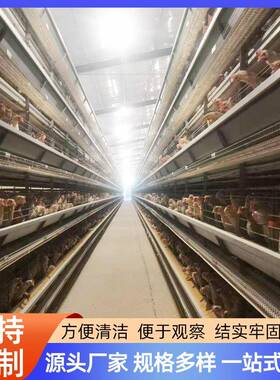 大层叠式鸡笼23675自动化蛋鸡养殖设备小层叠蛋鸡笼粗加加密养鸡