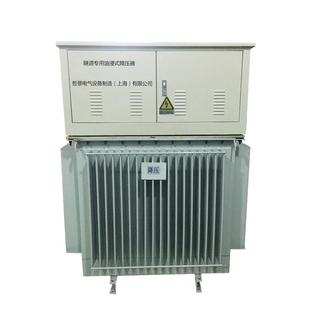 矿井隧道专用三相油浸式 500VA 增压器K380V升12500S0V1200VYZG
